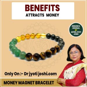 Money Magnet Bracelet by Dr Jyoti joshi